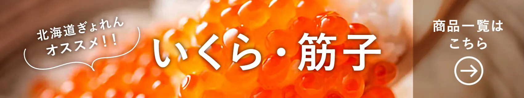 北海道ぎょれんオススメ！！ いくら・筋子 商品一覧はこちら