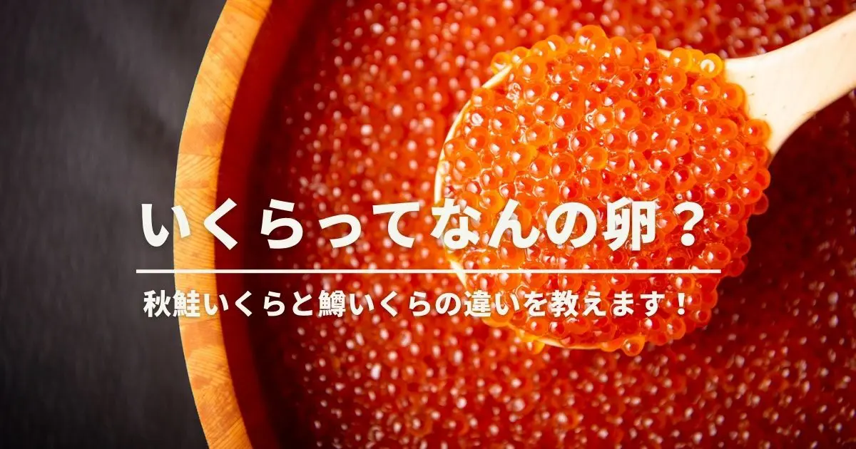 「いくらってなんの卵？」 秋鮭いくらと鱒いくらの違いを教えます！