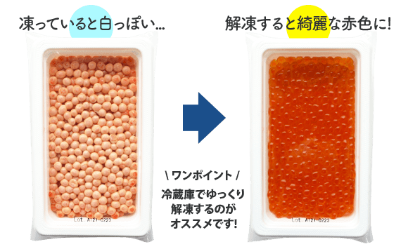 いくら（冷凍） FAQ】いくらの冷凍→解凍→冷蔵保存・賞味期限について！「こんな場合