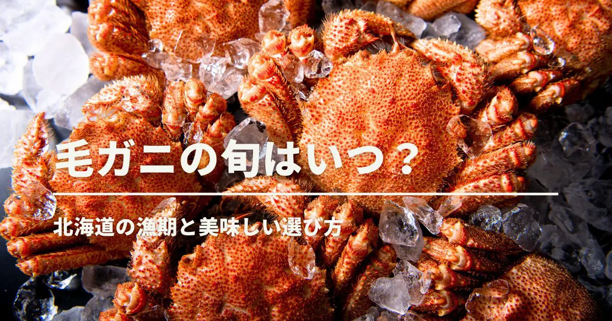毛がにの旬はいつ？北海道の漁期と美味しい選び方
