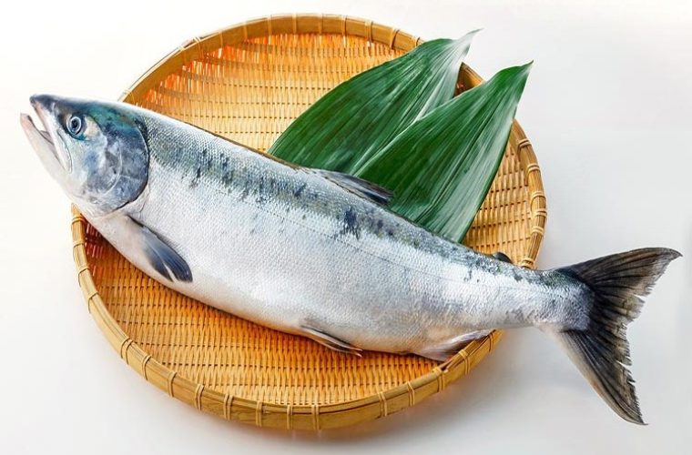 鮭の旬はいつ？種類ごとに変わる今一番美味しい産地と選び方をプロが