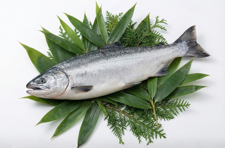 鮭の旬はいつ？種類ごとに変わる今一番美味しい産地と選び方をプロが