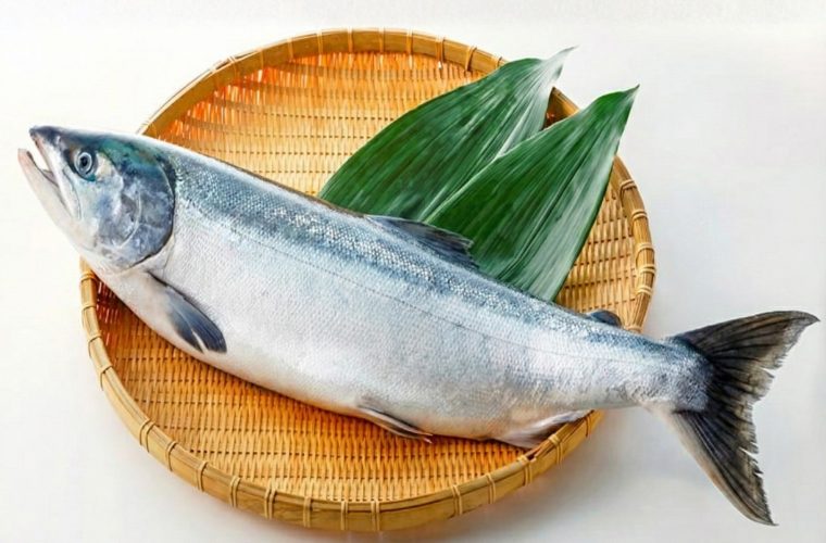 鮭の旬はいつ？種類ごとに変わる今一番美味しい産地と選び方をプロが