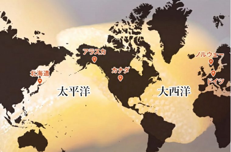 世界地図