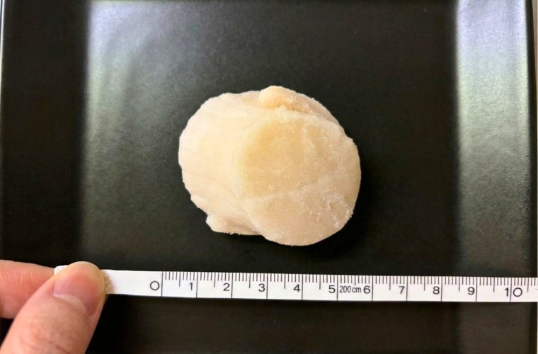 ほたて貝柱のサイズをメジャーで計測している
