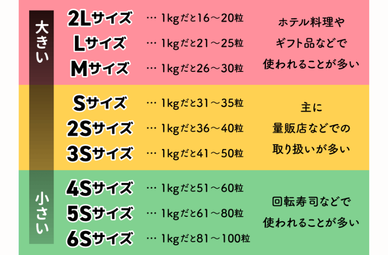 ホタテ貝柱のサイズ比較表