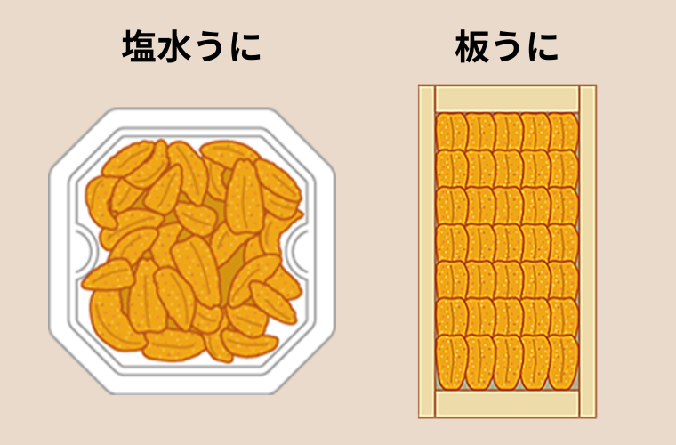 塩水うにと板うに