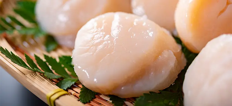 冷凍ほたて貝柱