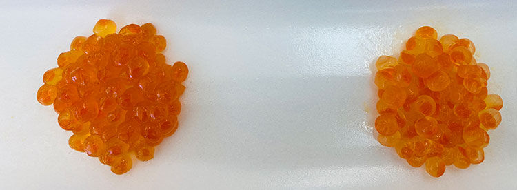 実食 偽物いくら の見分け方 本物との違いを解説します 北海道ぎょれん 産直ネットショップ 旬の海産物を産地直送かに ほたて 鮭 いくら お取り寄せギフト通販