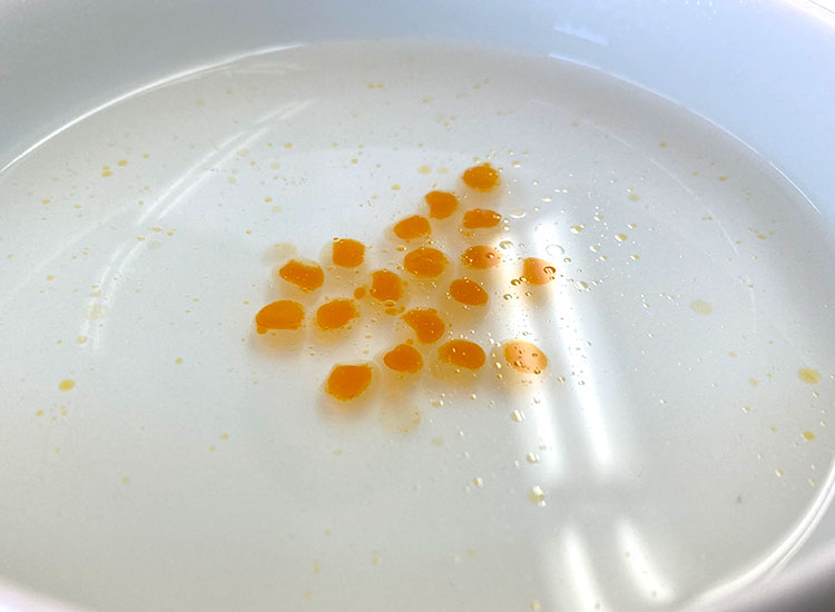 実食 偽物いくら の見分け方 本物との違いを解説します 北海道ぎょれん 産直ネットショップ 旬の海産物を産地直送かに ほたて 鮭 いくら お取り寄せギフト通販