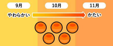 北海道の秋鮭漁の月別割合