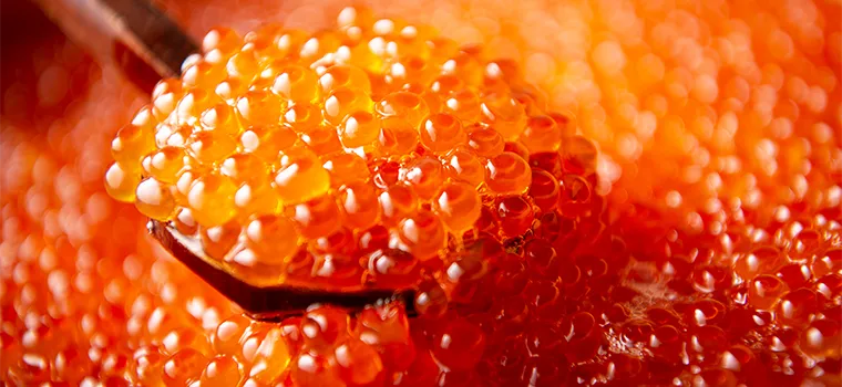 いくら醤油漬け