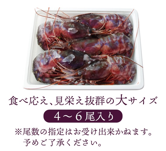 大サイズ300g4~6尾