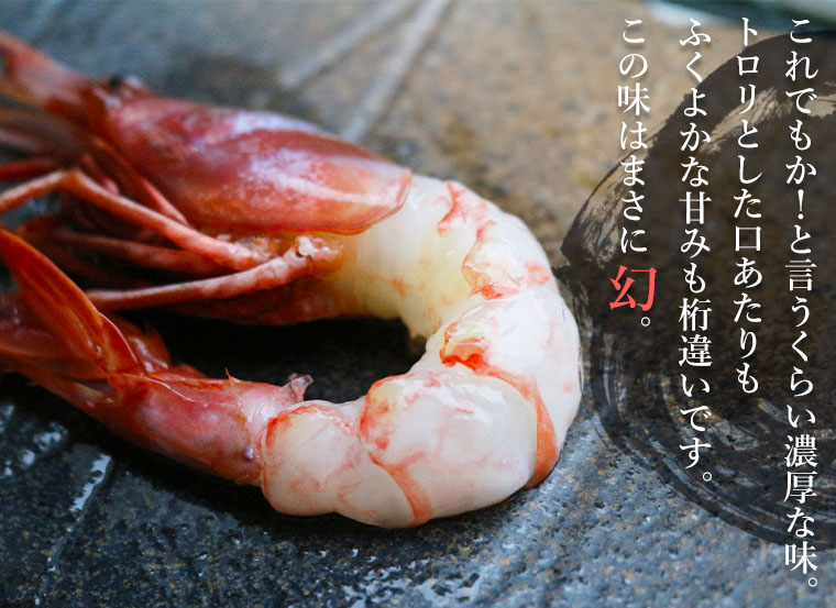 ブドウエビ 300g 中サイズ 北海道 羅臼産 刺身用 北海道ぎょれん 産直ネットショップ 旬 の海産物を産地直送かに ほたて 鮭 いくらお取り寄せギフト通販