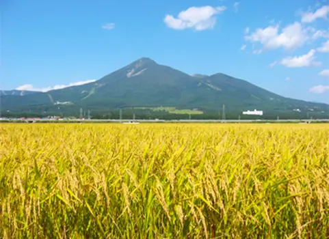 田園イメージ