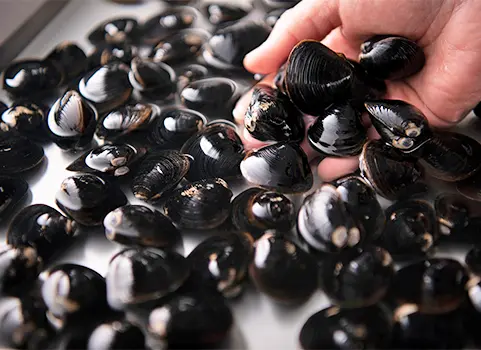 パッケージイメージ