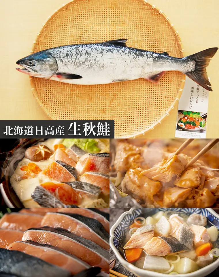 nao　生秋鮭オス2 日高産 生秋鮭（オス・2.5kg）｜【北海道ぎょれん｜お取り寄せ