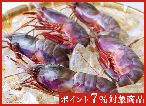 ブドウエビ 300g 中サイズ 北海道 羅臼産 刺身用 北海道ぎょれん 産直ネットショップ 旬 の海産物を産地直送かに ほたて 鮭 いくらお取り寄せギフト通販