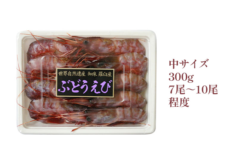 ブドウエビ 300g 中サイズ 北海道 羅臼産 刺身用 北海道ぎょれん 産直ネットショップ 旬 の海産物を産地直送かに ほたて 鮭 いくらお取り寄せギフト通販