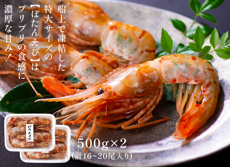 船上で凍結した特大サイズの【ぼたんえび】はプリプリの食感に濃厚な甘み!
