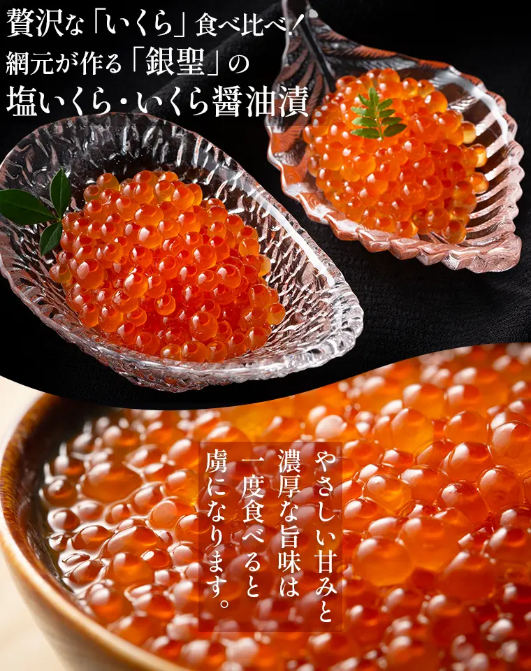 贅沢な「いくら」食べ比べ!網元が作る「銀聖」の塩いくら・いくら醤油漬。やさしい甘みと濃厚な旨味は一度食べると虜になります!