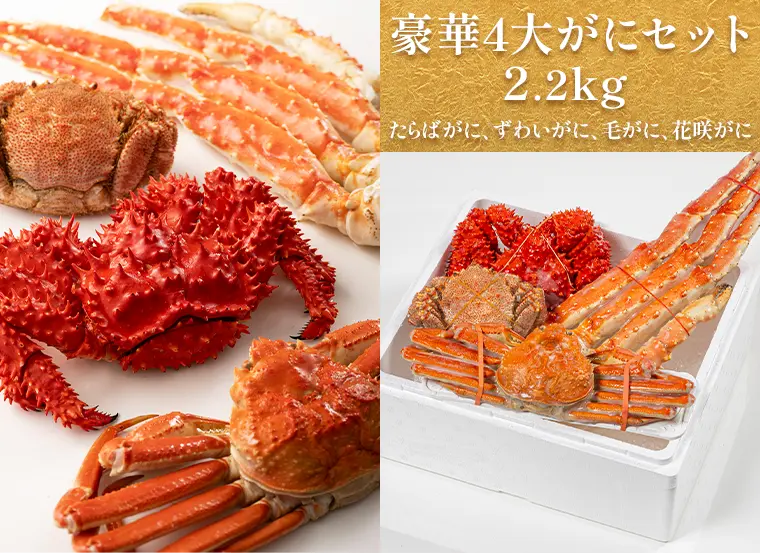 ★ガニオクン★2本セットで好き 北海道産】冷凍オオズワイガニ 2kg（8尾） – かねこ道具店