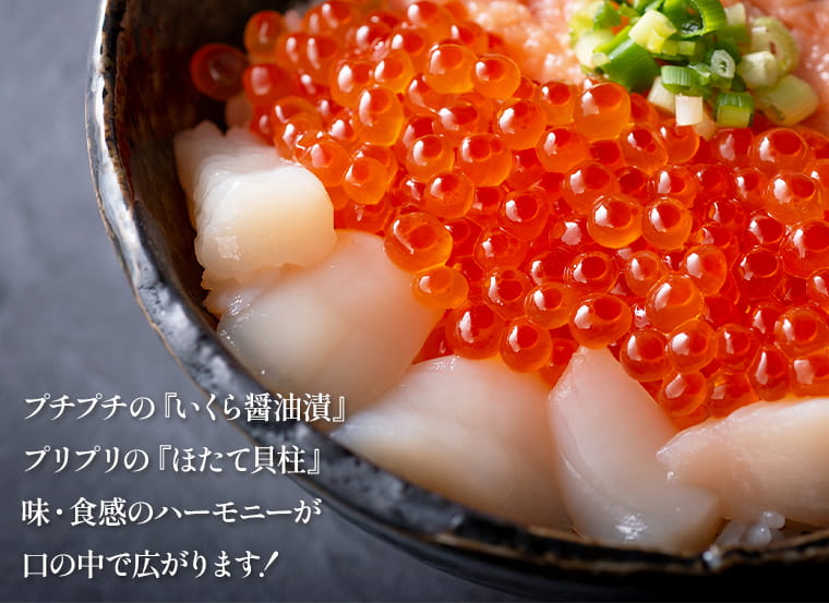 北海道産 いくら ほたてセット 北海道ぎょれん お取り寄せ 通販 旬の海産物を産地直送 かに ほたて いくら 鮭なら産直ネットショップへ