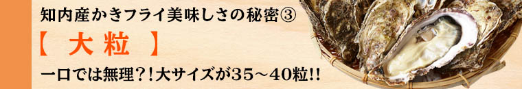 知内産カキフラ美味しさの秘密3「大粒」一口では無理?!大サイズが35~40粒!