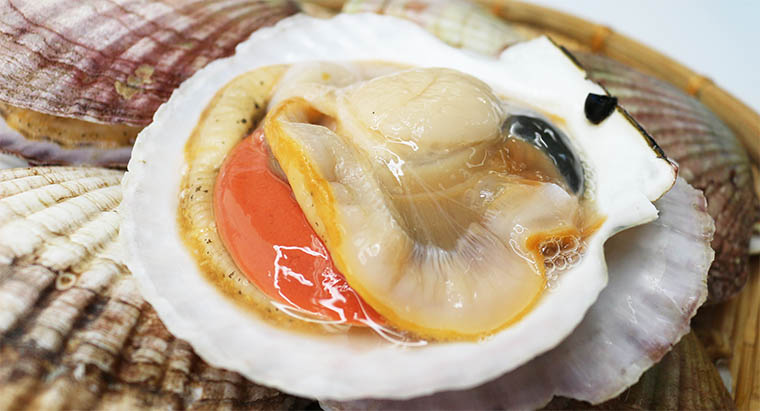 根室産ほたて