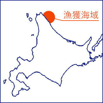 漁獲海域