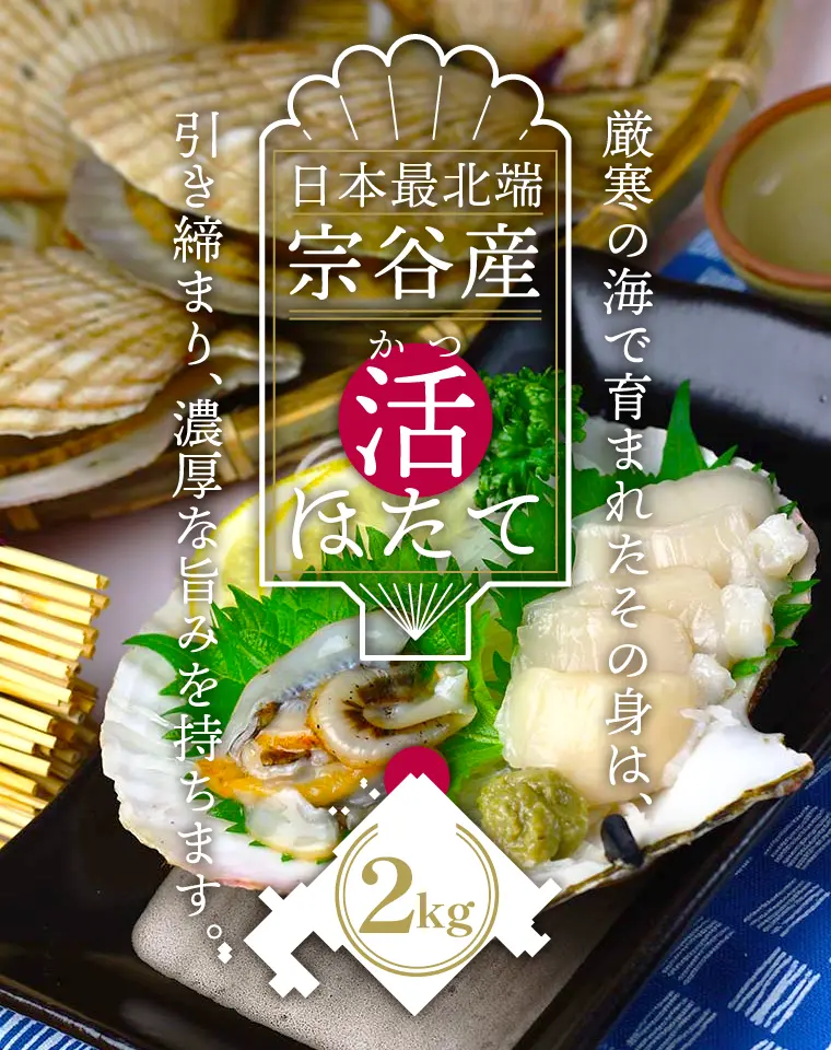 日本産北端 宗谷産活ほたて（2kg）