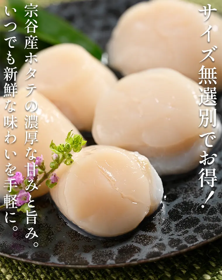 サイズ無選別でお得！宗谷産ホタテの濃厚な甘みと旨み。いつでも新鮮な味わいを手軽に。