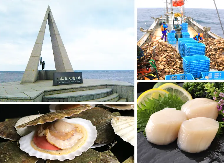 業務用まとめ買い】ほたて貝柱“特フレーク” 1kg×10袋（北海道 宗谷産