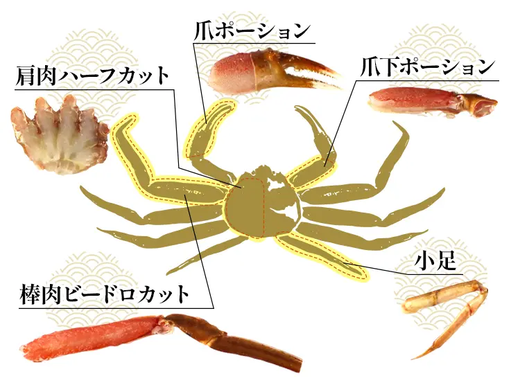 500g1袋「南蛮付棒ポーション7本、爪ポーション3～4個、爪下ハーフポーション3～4本、肩ハーフ6～8枚、小指4本」が