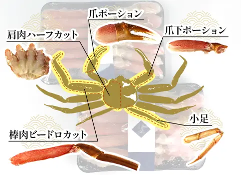 商品内容のずわいがに部位の図解
