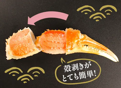 硬い爪の殻もかんたんにとれます