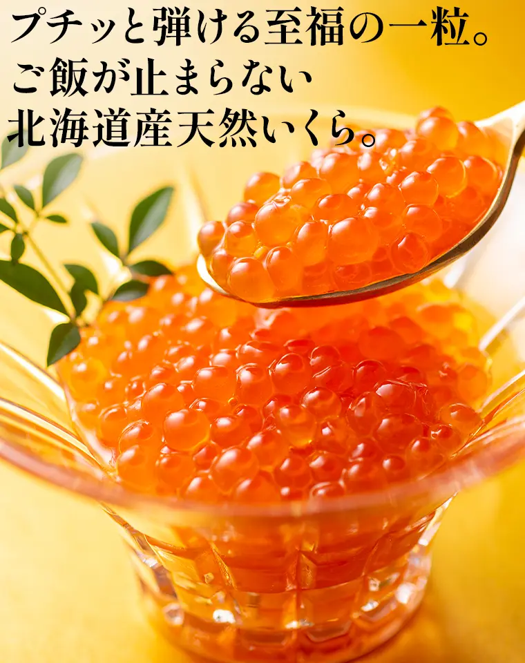 プチッと弾ける至福の一粒。ご飯が止まらない北海道産天然いくら。
