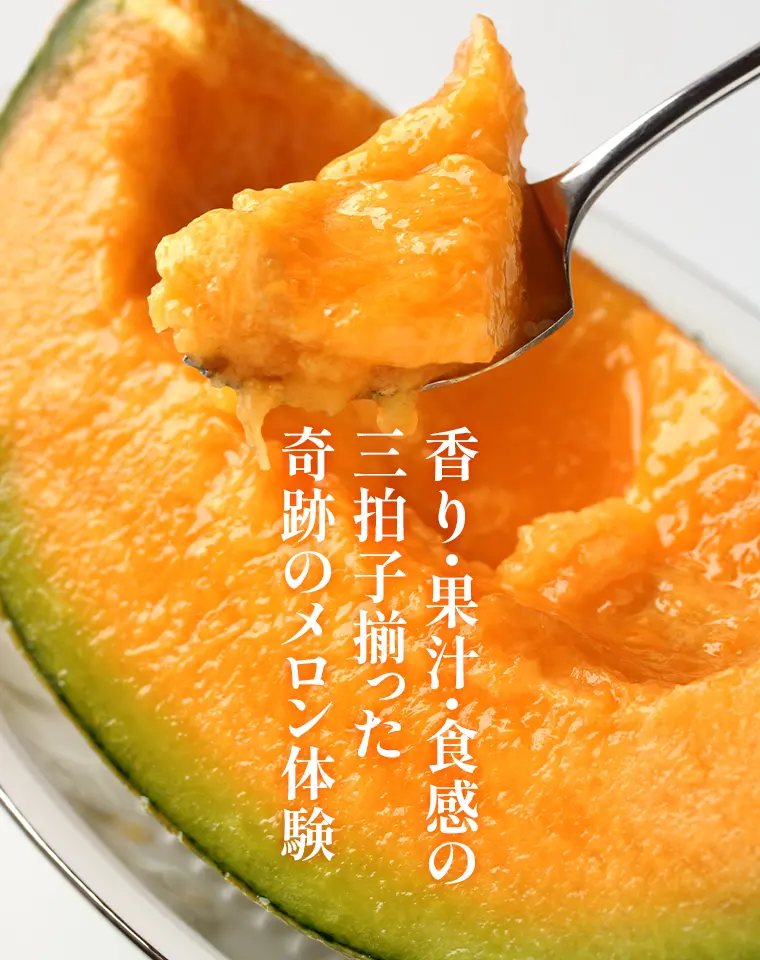 香り・果汁・食感の三拍子揃った奇跡のメロン体験