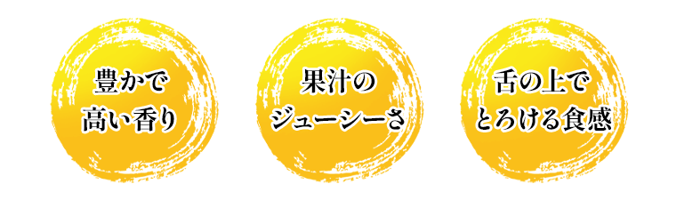 ・豊かで高い香り・果汁のジューシーさ・舌の上でとろける食感