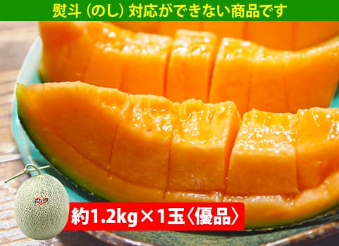 【2026年6月中旬頃 販売再開予定】　【7月上旬～中旬頃 随時発送予定】　夕張メロン（共撰）1玉