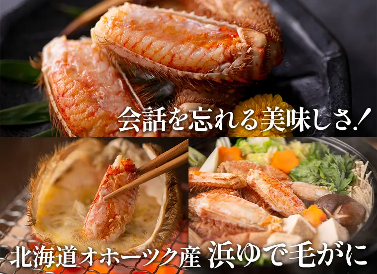会話を忘れる美味しさ！！北海道オホーツク産 浜ゆで毛がに