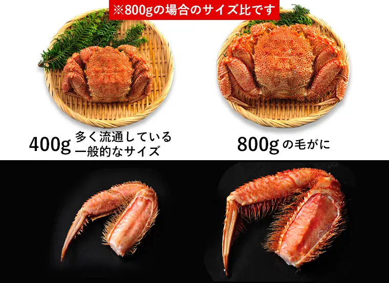 毛がに400gと800gの比較