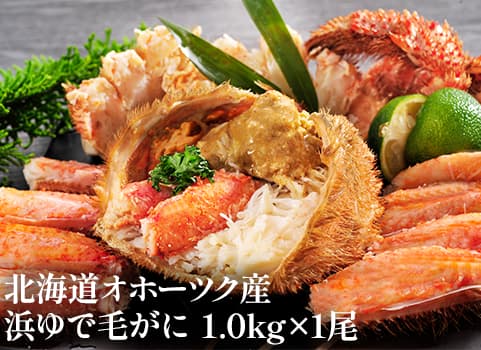【お歳暮・お正月】浜ゆで毛がに 1.0kg×1尾（毛がに：北海道オホーツク産・ボイル冷凍）
