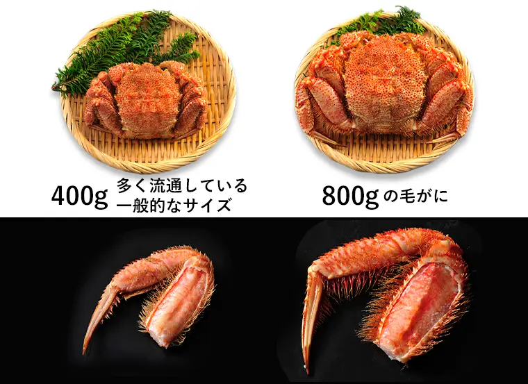 毛がに400gと800gの比較