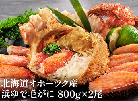 【お歳暮・お正月】浜ゆで毛がに 800g×2尾（毛がに：北海道オホーツク産・ボイル冷凍）