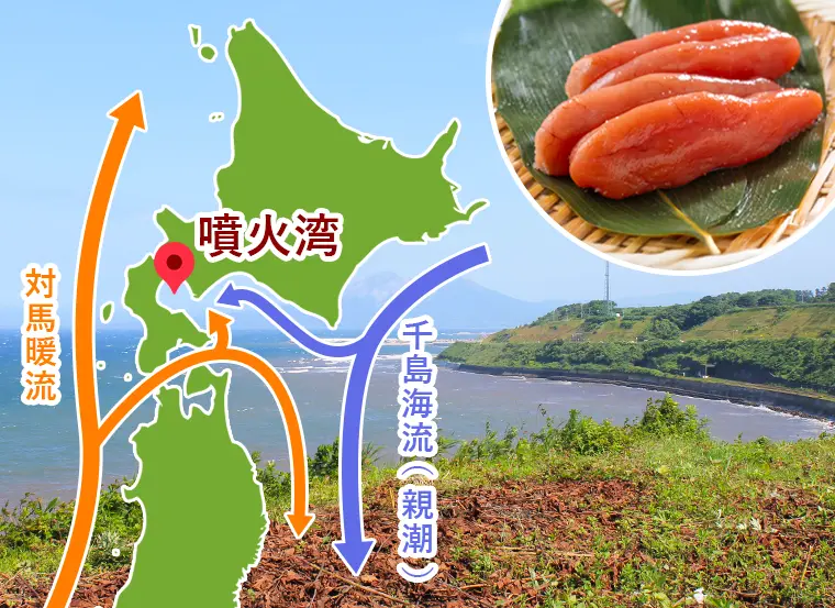 噴火湾について