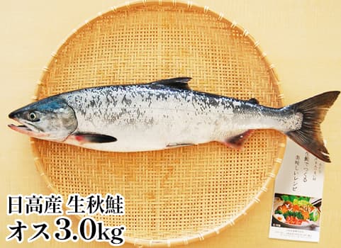 日高産 生秋鮭（オス・3.0kg）
