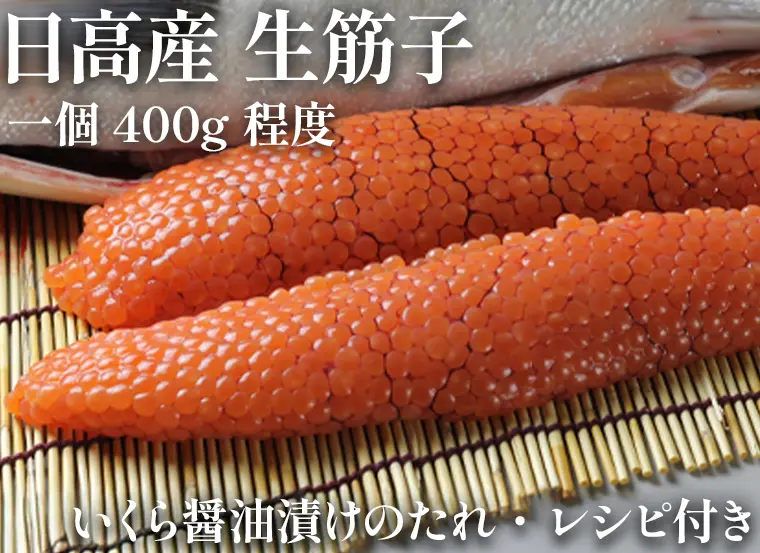 日高産 生筋子 400g（漬けダレ・レシピ付き）｜【北海道ぎょれん｜お