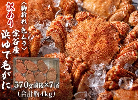 訳あり・お買い得】浜ゆで毛がに 4kg箱/650g前後×6尾（合計約4kg