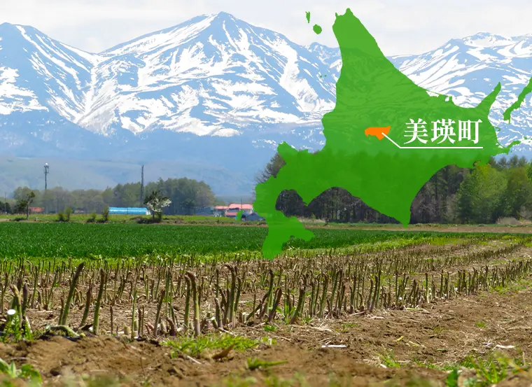 北海道産 露地グリーンアスパラガス 1.4kg｜【北海道ぎょれん｜お